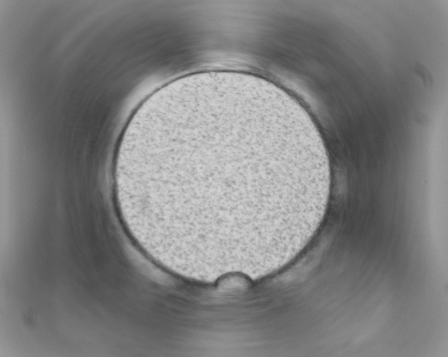 X0000110731471200907241217