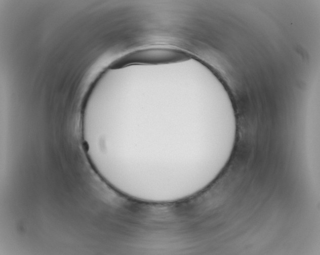 X0000110731472200907241217