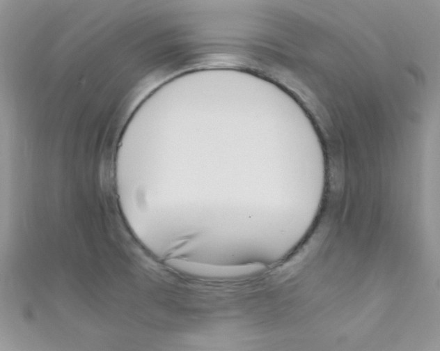 X0000110731473200907241217