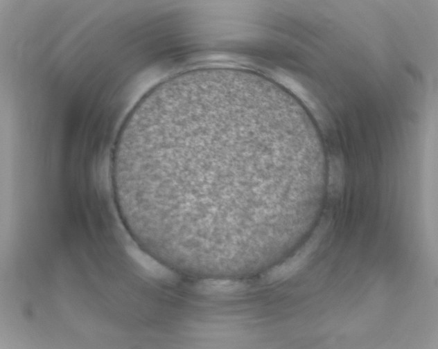 X0000110731474200907241217