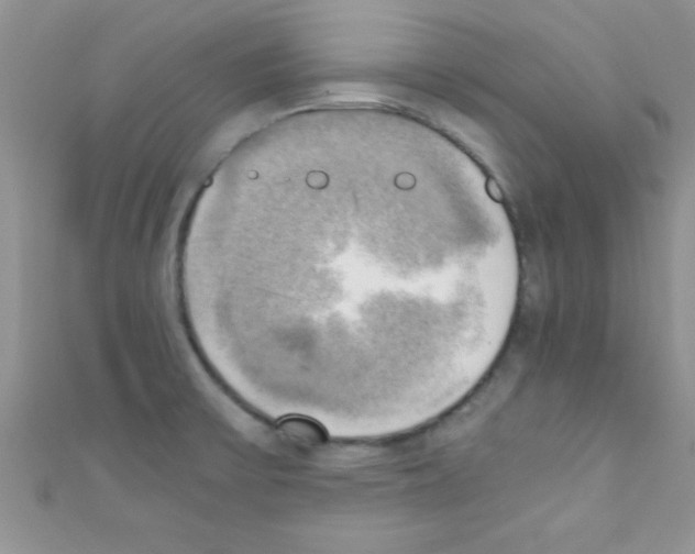 X0000110731475200907241217