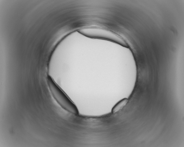 X0000110731476200907241217