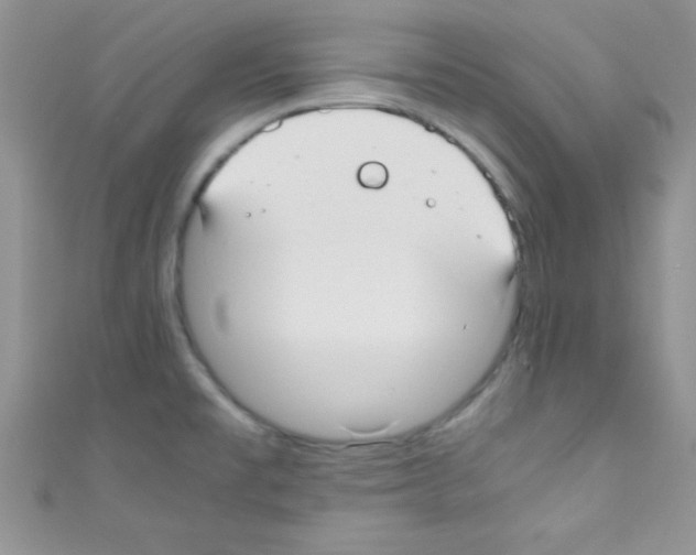 X0000110731477200907241217