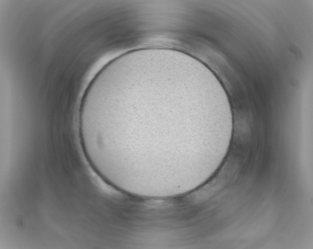 X0000110731478200907241217