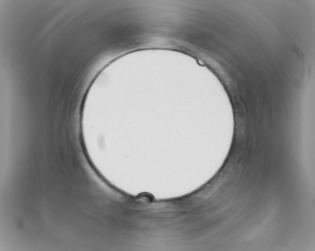 X0000110731479200907241217