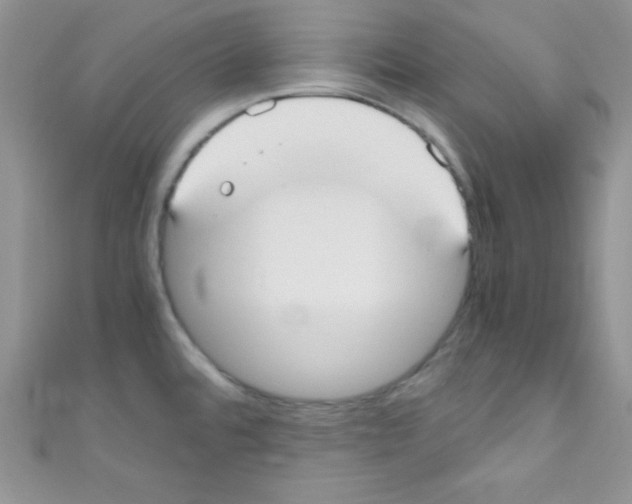 X0000110731480200907241217