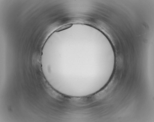 X0000110731481200907241217