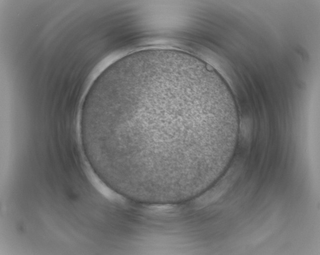 X0000110731482200907241217