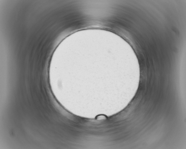 X0000110731483200907241217