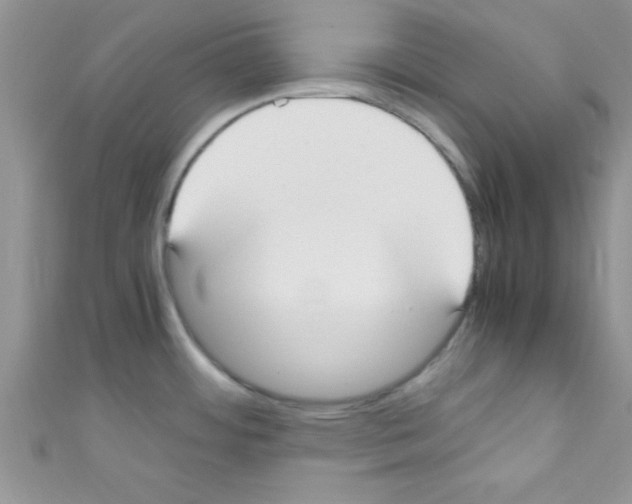 X0000110731484200907241217
