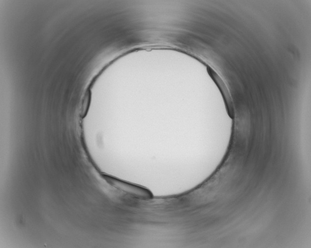X0000110731485200907241217