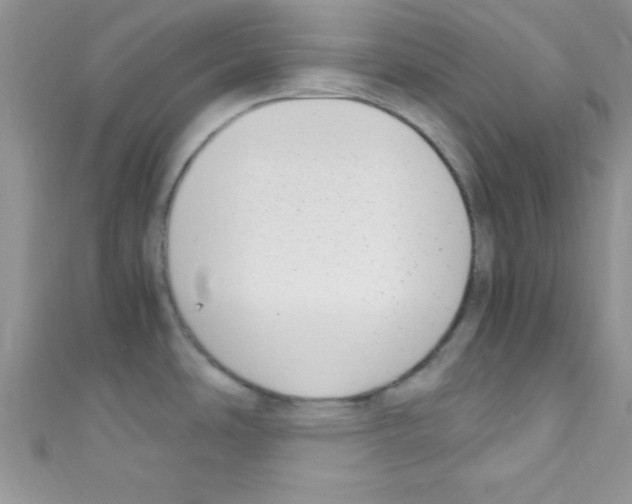 X0000110731486200907241217