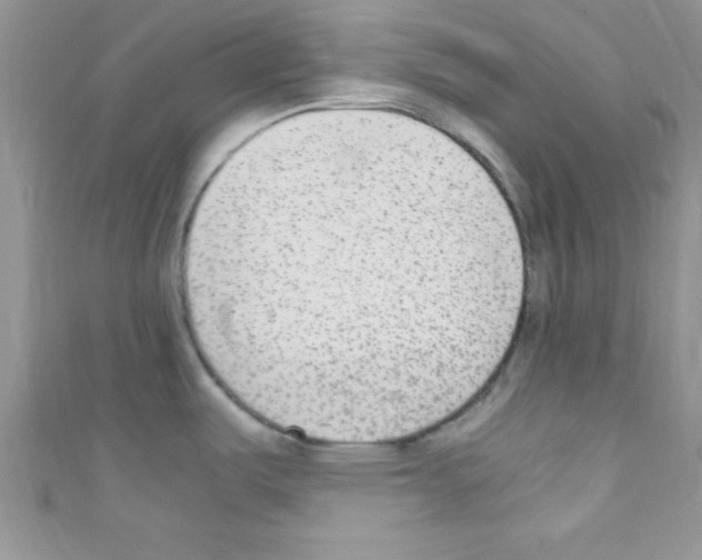 X0000110731487200907241217