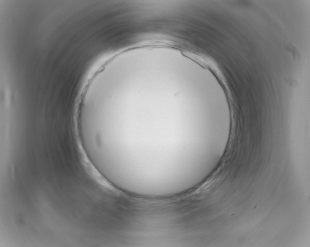 X0000110731488200907241217