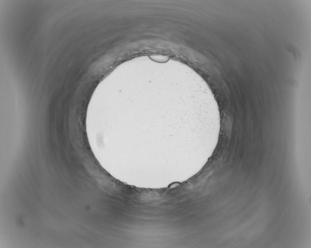 X0000110731489200907241216