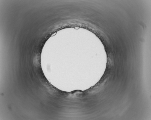 X0000110731490200907241216