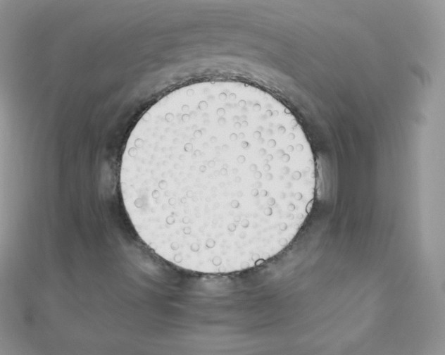 X0000110731491200907241217