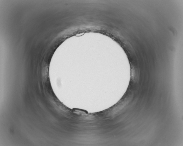 X0000110731492200907241217