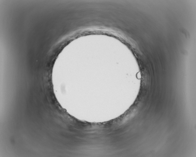 X0000110731494200907241217