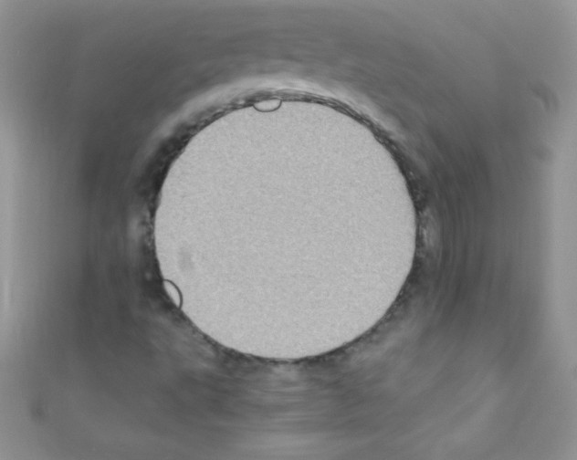 X0000110731495200907241217
