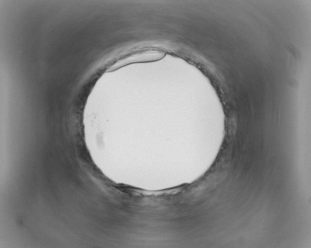 X0000110731496200907241217