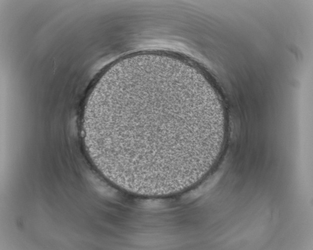X0000110731497200907241217