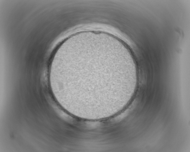 X0000110731498200907241217