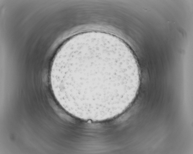 X0000110731499200907241217