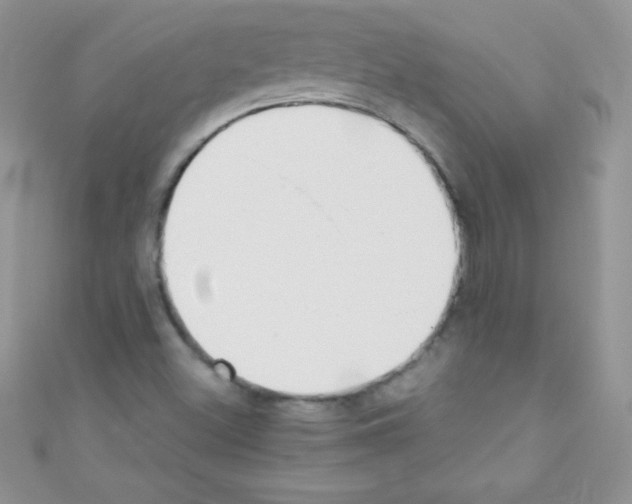 X0000110731500200907241217