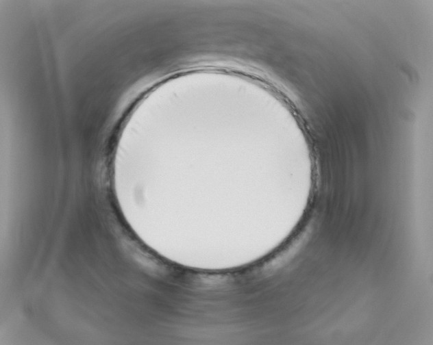 X0000110731501200907241217