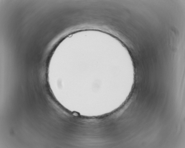 X0000110731502200907241217