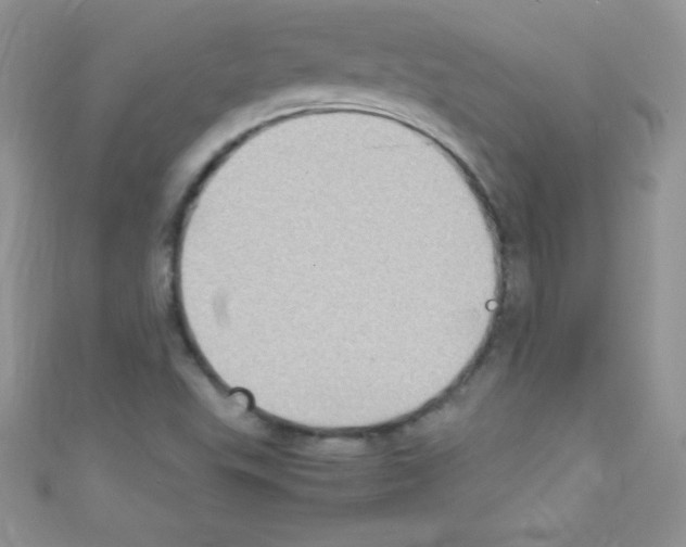 X0000110731503200907241217
