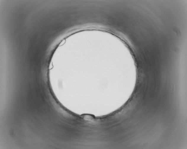 X0000110731504200907241217