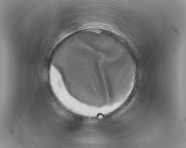 X0000110731505200907241217