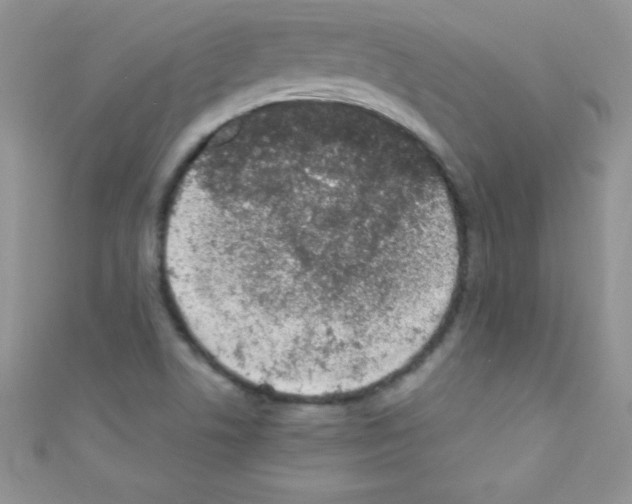 X0000110731506200907241217
