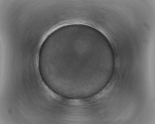 X0000110731508200907241217