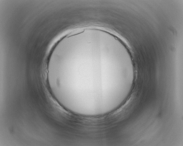 X0000110731510200907241217