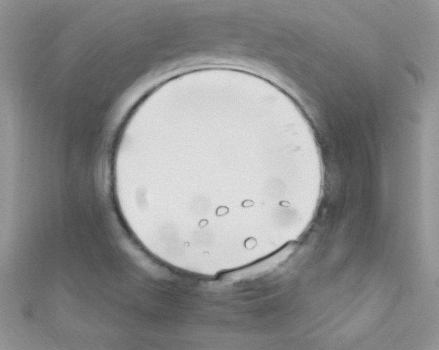 X0000110731511200907241217