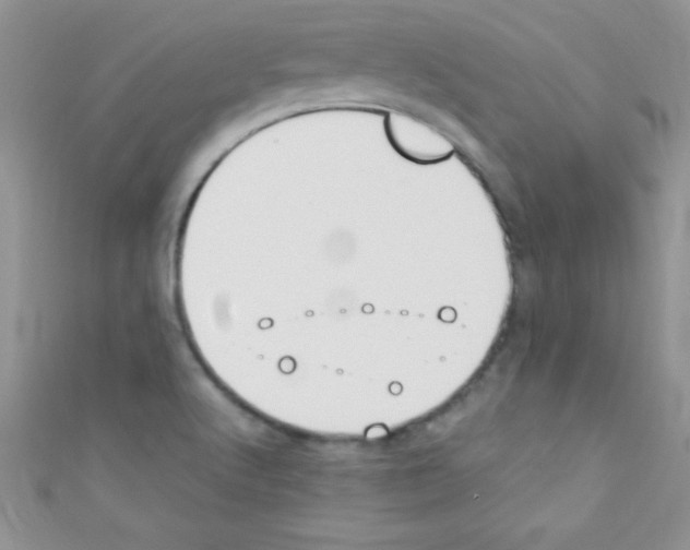 X0000110731512200907241217