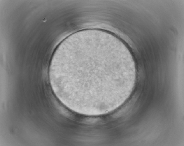 X0000110731513200907241217