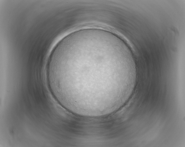 X0000110731514200907241217