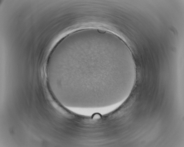 X0000110731515200907241217