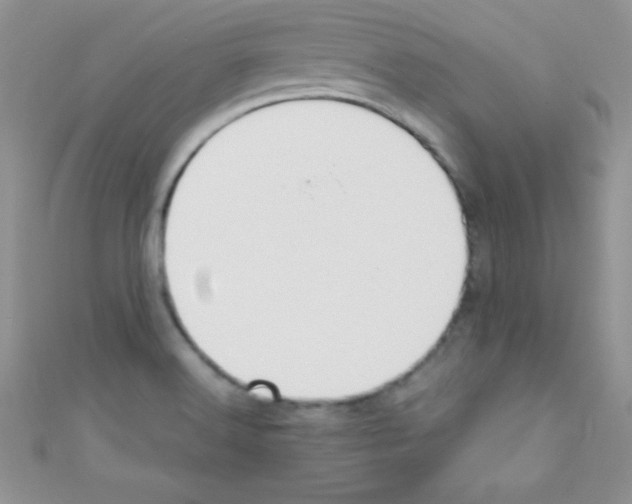 X0000110731516200907241217