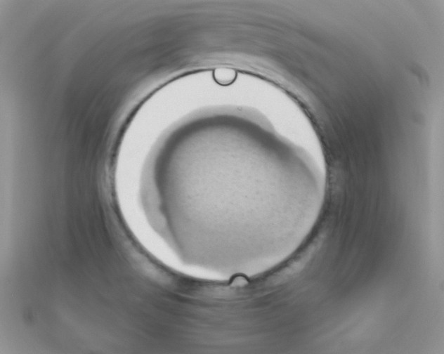 X0000110731517200907241217