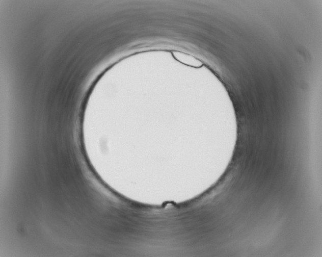 X0000110731518200907241217