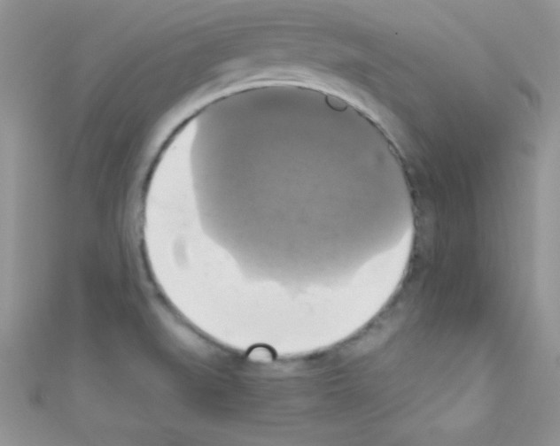 X0000110731519200907241217
