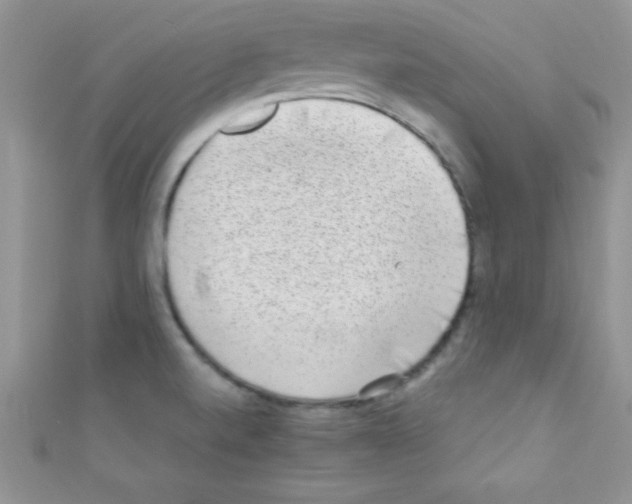 X0000110731520200907241217
