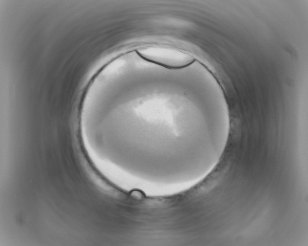 X0000110731523200907241217