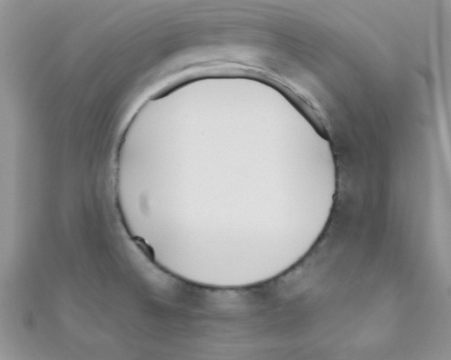 X0000110731524200907241217