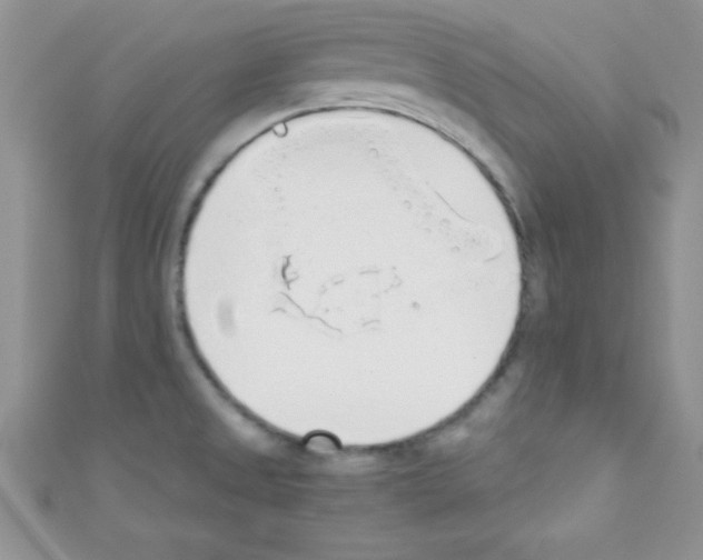 X0000110731525200907241217